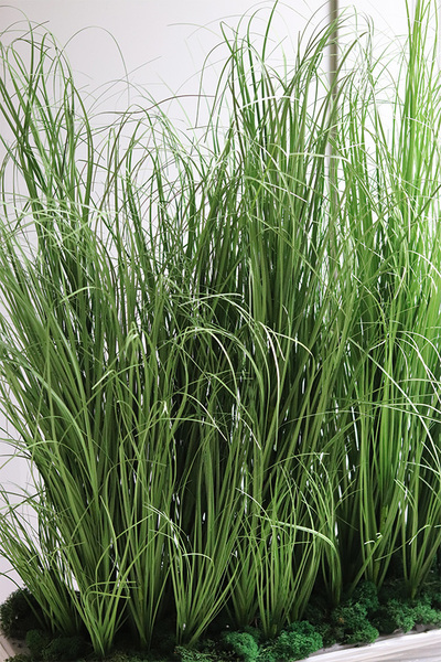 Mortela Saute, sztuczna trawa w stretchu do twojej donicy