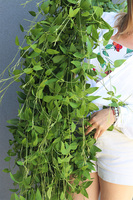 Barwinek zielona girlanda dekoracyjna, dł.