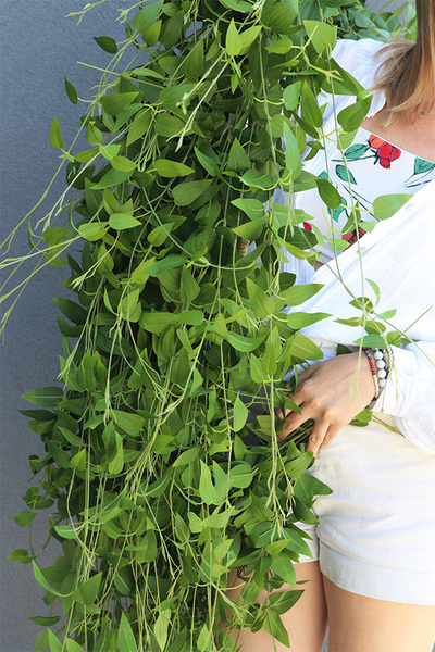 Barwinek zielona girlanda dekoracyjna, dł.