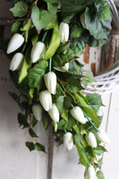 dekoracyjny wianek tulipanowy, White Tulips, śr.40cm