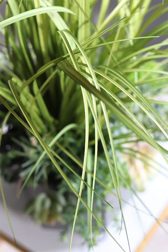 Saloniki Renoma, sztuczna trawa z sukulentami w szarej donicy