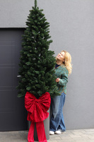 Velvet Bow, świąteczna choinka w donicy