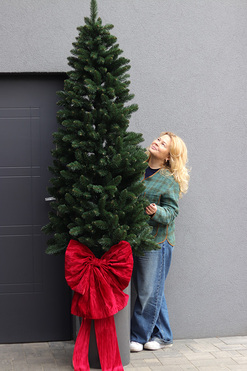 Velvet Bow, świąteczna choinka w donicy, wys.250cm 
