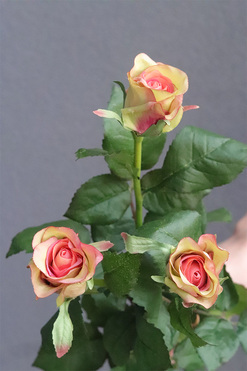 Róża Juliet, gałązka sztucznej róży, zielono-różowa, dł.60cm