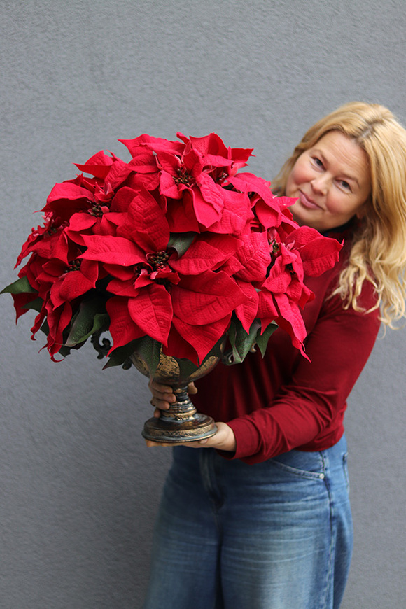 Gwiazda Betlejemska Goldi, sztuczna roślina w pucharze