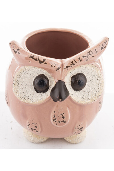 Cottage Owl, osłonka na kwiaty, różowa