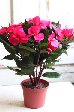 Niecierpek, amarantowy, sztuczny kwiat doniczkowy, wys.30cm