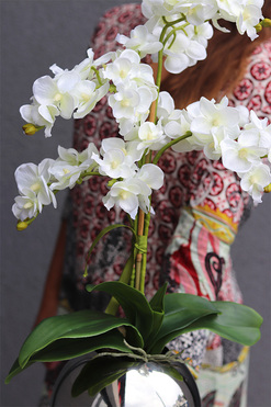 Silveia Big, sztuczny storczyk w lustrzanej donicy, wys.59cm 