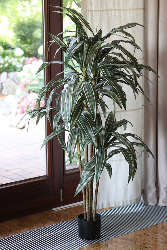 Dracena, wysokiej jakości sztuczna roślina