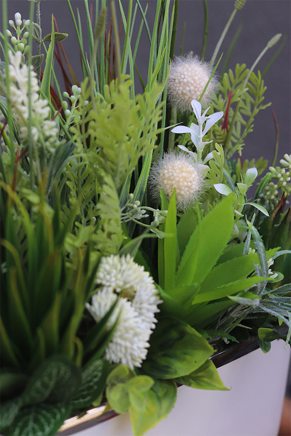 Jedyta, kompozycja z sukulentami w donicy glamour