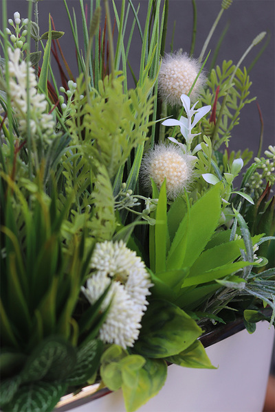 Jedyta, kompozycja z sukulentami w donicy glamour