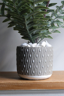 Paproć Greeno, roślina doniczkowa w osłonce, wys.44cm