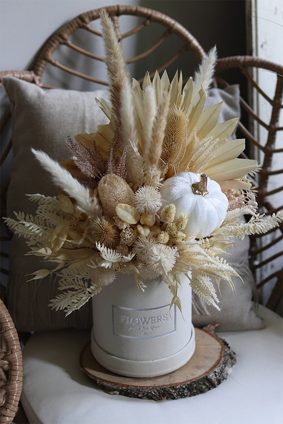 Velurowa Dynia Cream, jesienny flowerbox z suszem