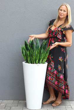 Sansewieria Della 2, roślina sztuczna w donicy, wys.110cm