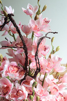 Silverro Sweet Pink, podłogowy storczyk w lustrzanej donicy