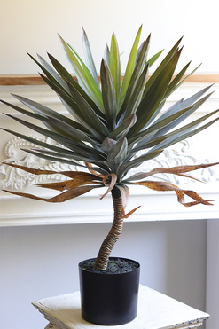 Jukka Florida, sztuczna roślina drzewko, wys.80cm