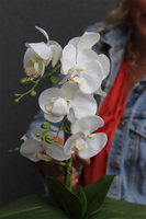 Nedila 3, sztuczny storczyk w zielonej osłonce