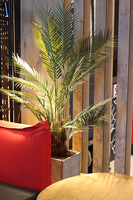 Palma Concrete Cube, sztuczna roślina w betonowej donicy