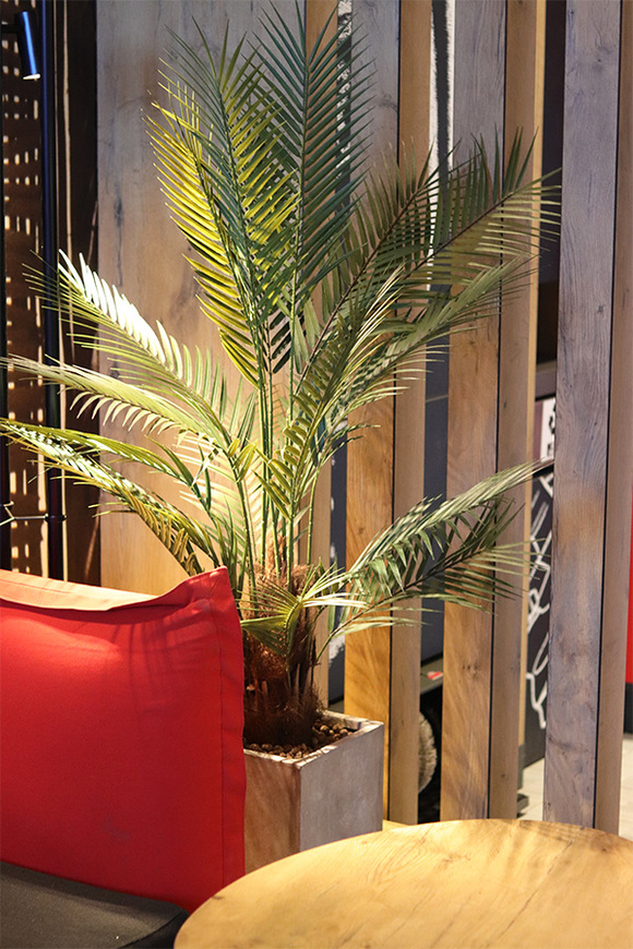 Palma Concrete Cube, sztuczna roślina w betonowej donicy