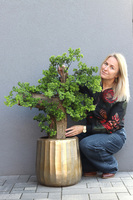 Bonsai Hand Made Gold, sztuczna roślina w złotej doniczce, wys.110cm