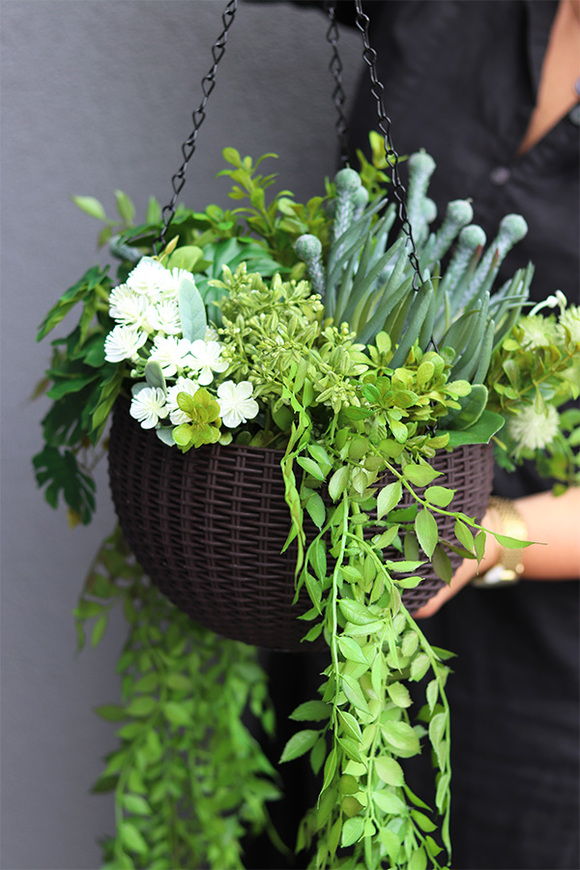 Lonera Grenoble, kompozycja zielona w wiszącej donicy