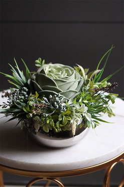 Jalote, kompozycja sukulenty w lustrzanej donicy, wys.12cm 