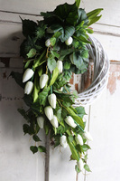 dekoracyjny wianek tulipanowy, White Tulips, śr.40cm