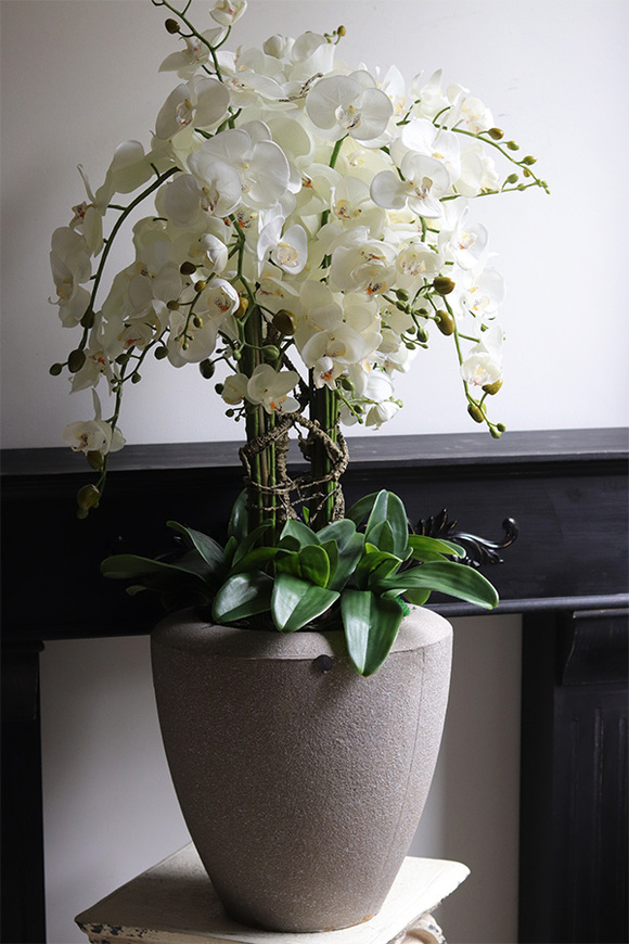 Beigenate 2, sztuczny storczyk w ceramicznej donicy