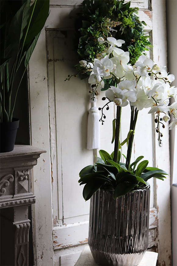 Silverro 2, podłogowy storczyk w lustrzanej donicy, wys.106cm