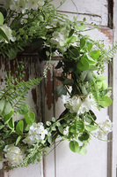 lekki wianek z hortensją, Zielona Efrania, śr.45cm 