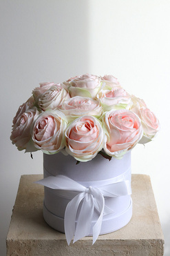 OD RĘKI Cinema Rosa, różany flowerbox, wys.30cm