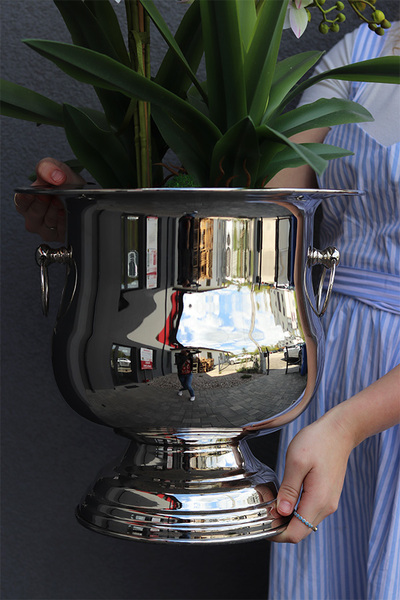 Eveline Elegance Albina, gumowy storczyk w pucharze