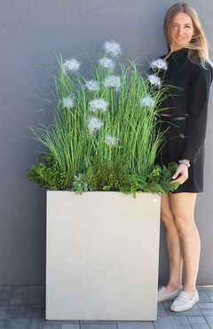 Moderni Concrete Big, sztuczna trawa z dmuchawcami w betonowej donicy, wys.160cm 