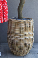 Limoncella Basket, sztuczne drzewko cytrynowe w koszu