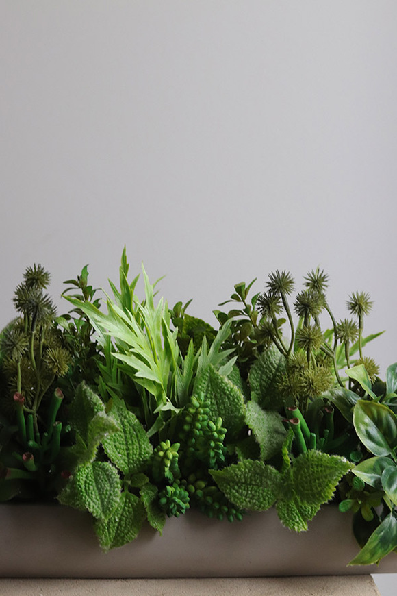 Hektor Modenato 2, kompozycja sukulenty w długiej donicy