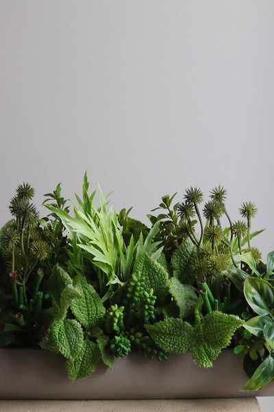 Hektor Modenato 2, kompozycja sukulenty w długiej donicy