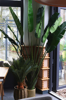 Bananowiec Bellis, sztuczna roślina w donicy