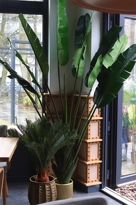 Bananowiec Bellis, sztuczna roślina w donicy