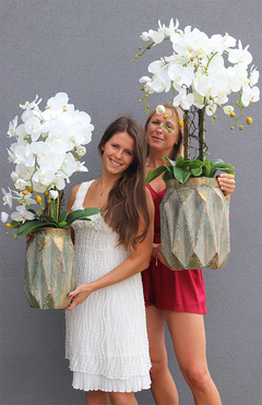 storczyki Matea Gold w metalowych naczyniach wys.82/98cm