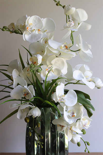 Belide Corrida, sztuczny storczyk w szklanym wazonie