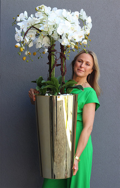 Golderia, elegancki storczyk podłogowy w złotej donicy z białym kamieniem, wys.130cm