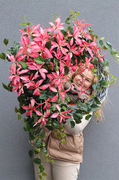 Pink World, asymetryczny wianek na drzwi, rozp.70cm