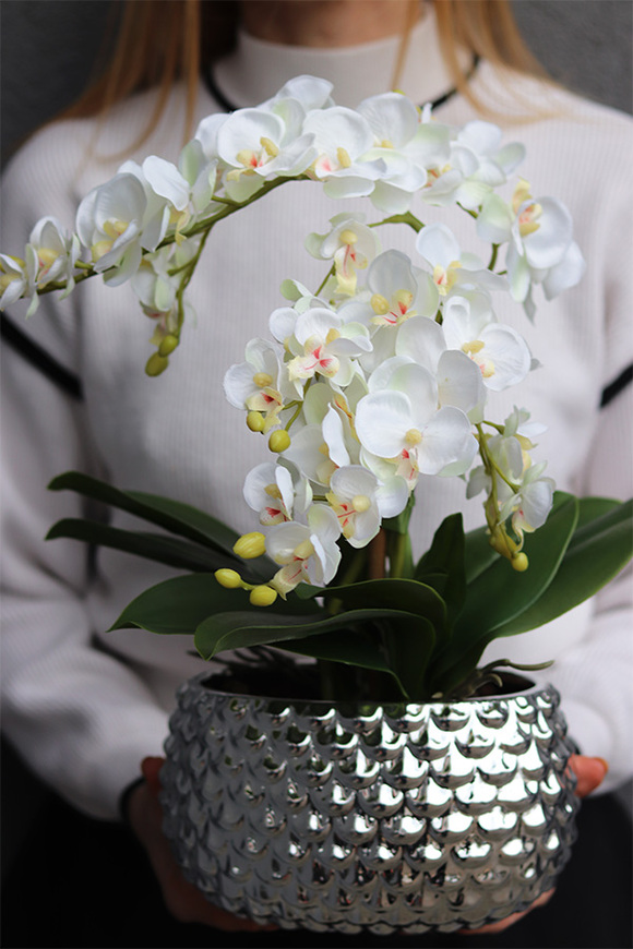 Silver Route, sztuczny storczyk w lustrzanej misie