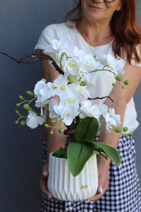 La Bella, gumowy storczyk w białej donicy	