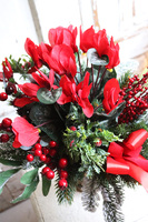 Cyklamen Zimowy Czerwień, świąteczna dekoracja w pucharze