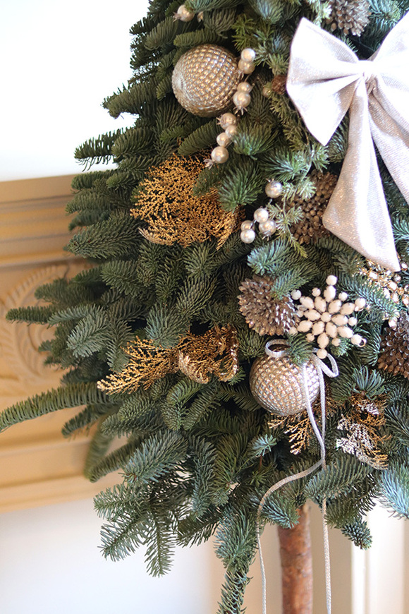 Nobilis Girgio Gold, świąteczna choinka z żywych gałązek