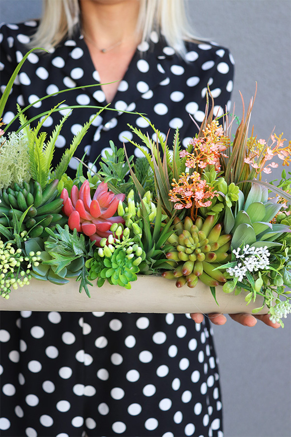 kompozycja sukulenty w długiej donicy, Hektor E