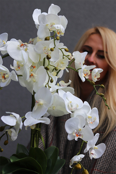 Elegance Hotel B, sztuczny storczyk w miedzianej donicy