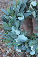 Eukaliptusowy, zielony wianek na drzwi, śr.50cm