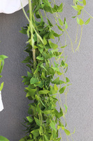 Barwinek, bardzo długa girlanda 5metrowa do dekoracji